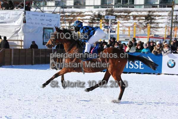 ET0Q1185 prot
